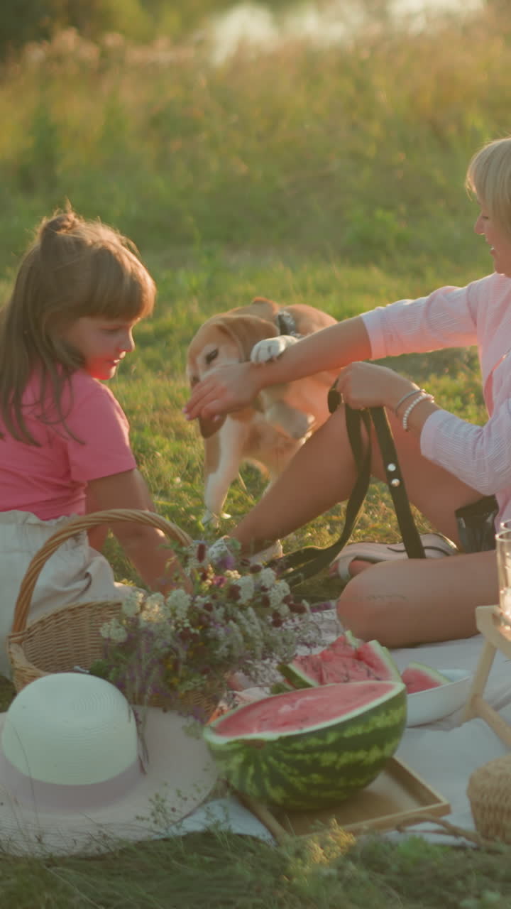 빛이 있는 풀에서 야외 피크닉을 즐기는 가족, 여자, 그녀의 손을 잡으려는 개, 피크닉 음식, 수박, 크루아산, 과일, 꽃, 모자