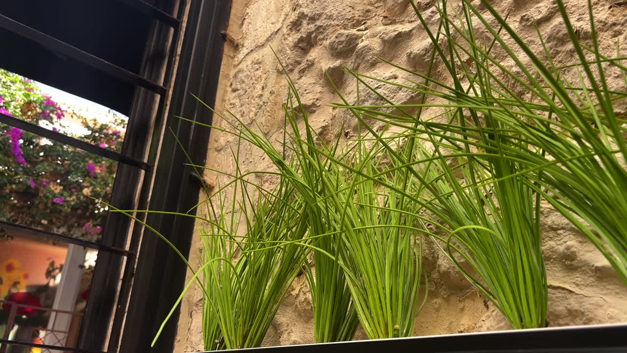 green plants arranged on a rustic stone wall with a floral background