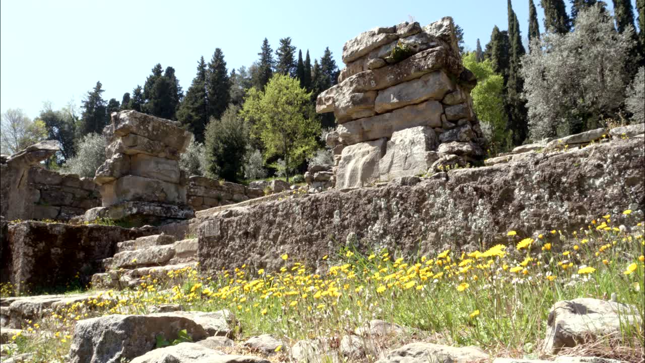 Antiche rovine in pietra ricoperte da fiori selvatici e alberi in una giornata di sole