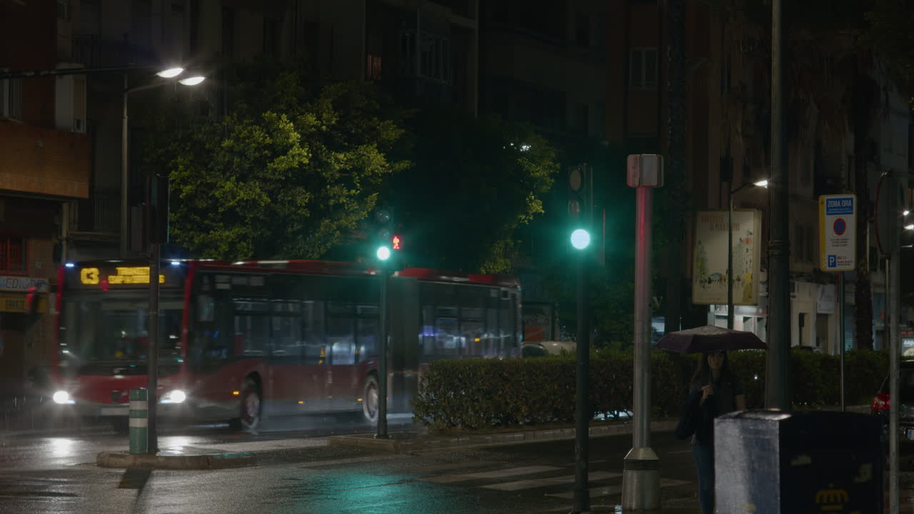 밤에는 도시 거리에서 비가 내립니다.