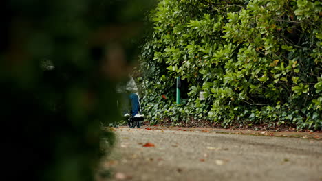 Woman,-nurse-and-patient-walking-with-wheelchair