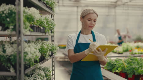 woman gardener working and inspecting plants in a commercial greenhouse