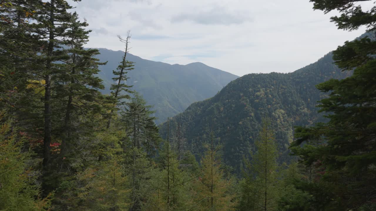 Views of mountain range and trees on Kitakdake hike in Japanese Alps, Japan