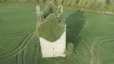 Remains-Of-Gortmakellis-Castle-Wall-Covered-With-Green-Grass-In-Tipperary,-Ireland