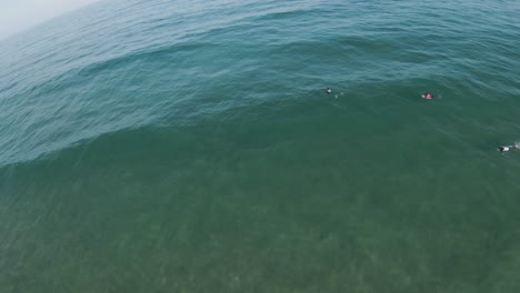 Aerial-circle-view-of-swimmers-in-the-sea-ready-to-do-snorkeling