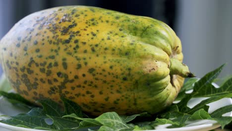 Schöne-Nahaufnahme-Einer-Reifen-Gelben-Papaya,-Die-Sich-Auf-Einer-Rotierenden-Plattform-Dreht-Und-Ihre-Wunderschönen-Und-Einzigartigen-Flecken-Und-Haut-Zeigt