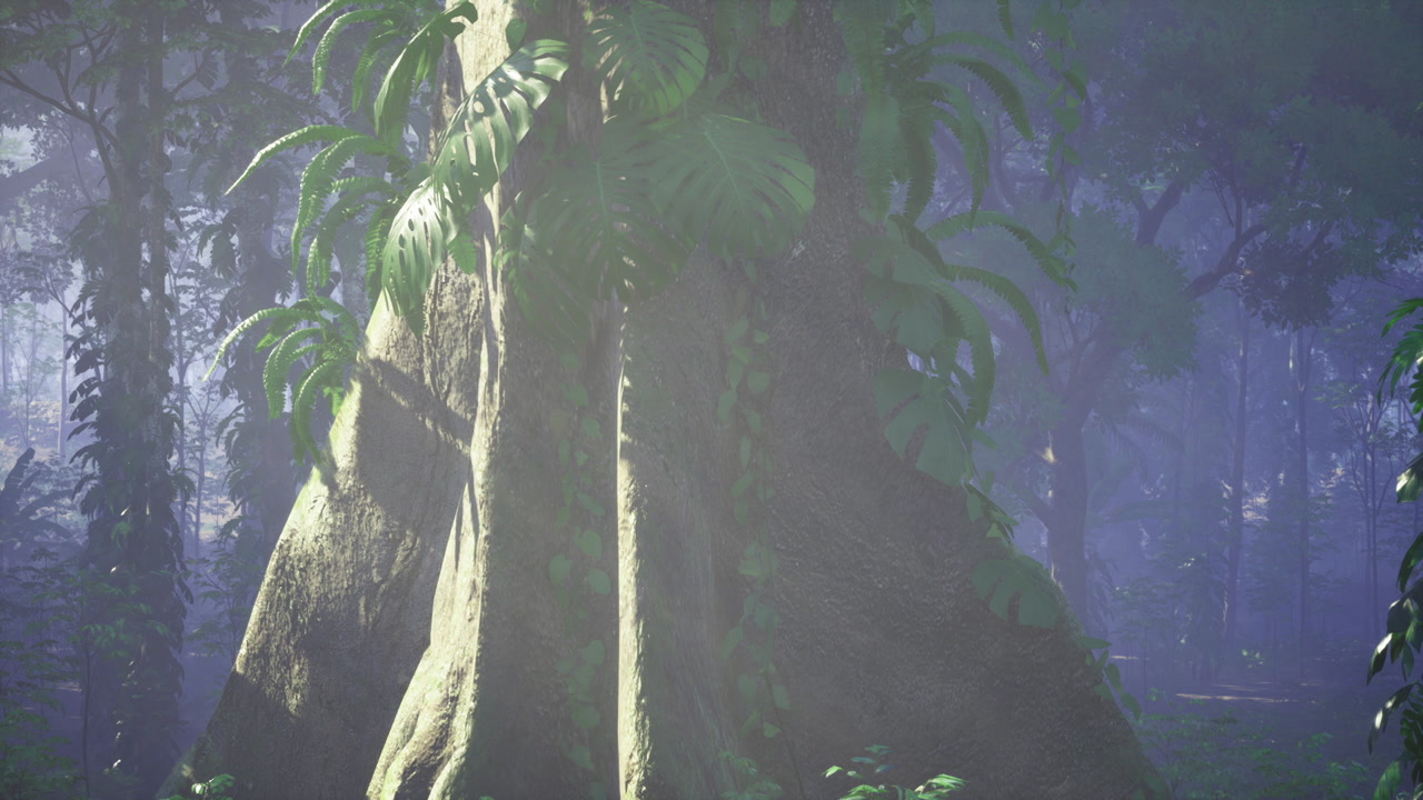 Radiant sunlight illuminates massive trunk with peaceful forest surroundings