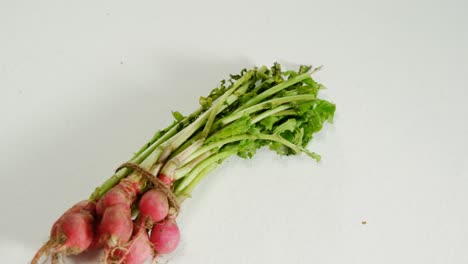 bunch of radish placed against white background 4k 4k