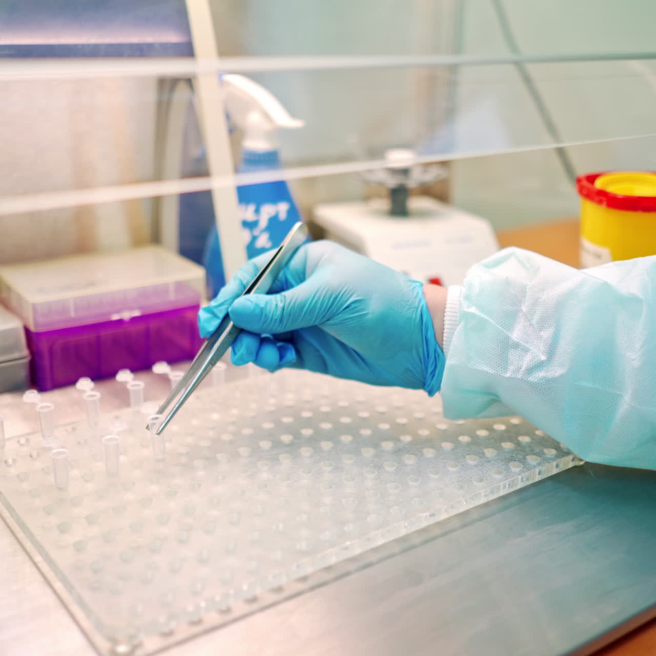 New small test tubes laying out on a plastic rack. Female hand in protective glove holding tweezers while putting sterile vials on a support in the laboratory.