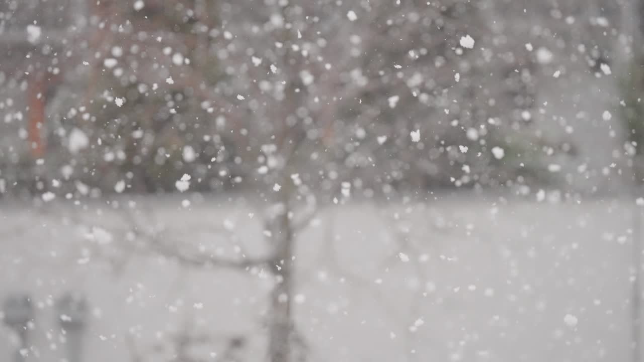 copos de nieve girando en una tormenta de nieve, capturado en un primer plano con un árbol de hojas marchitas detrás