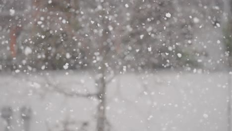 snowflakes swirl in a snowstorm, captured in a close-up shot with a tree of withered leaves behind