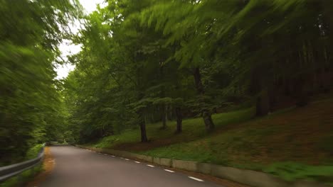 driving on a winding road in a forest with lush vegetation, bucegi mountains, rumania