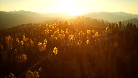 sunlight in spruce forest in the fog on the background of mountains at sunset