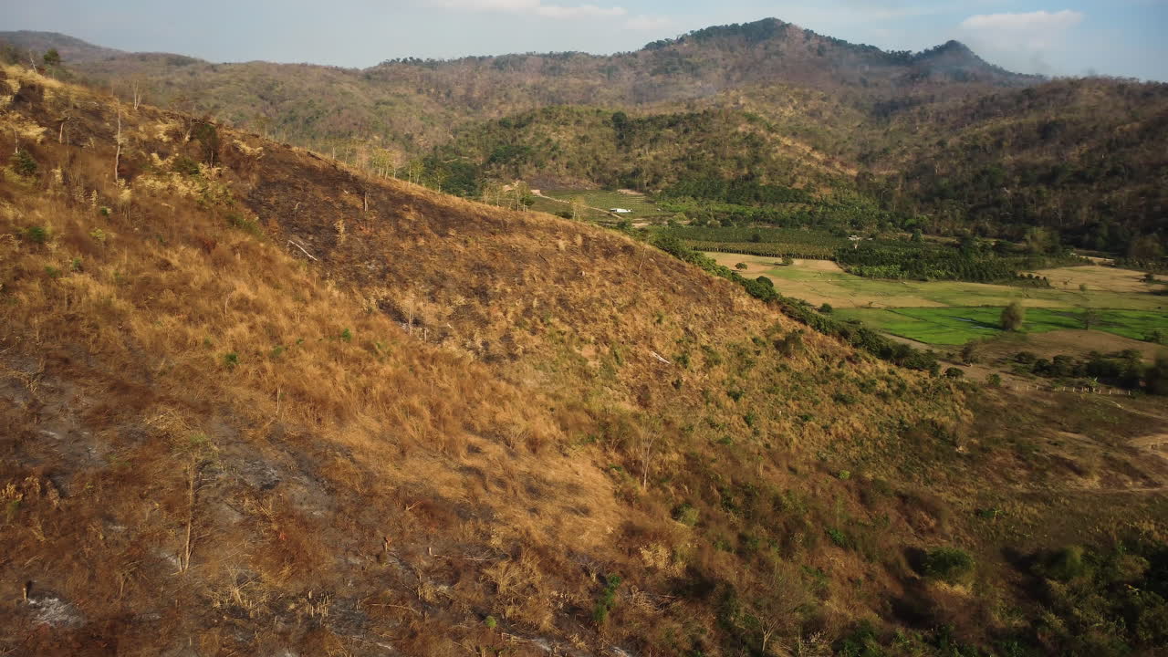 Incendio controllato agricolo nelle colline per mantenere la salute di una foresta in Vietnam, Asia.
