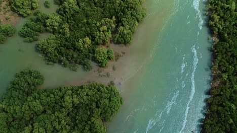 aerial-view-of-the-mangrove-swamps-,-city-of-Dar-es-Salaam
