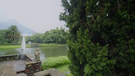 moving around a tree to reveal a pond and fountain in the background at a resort in antigua, guatemala