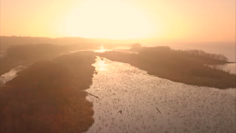 sunrise over the marshy river with birds