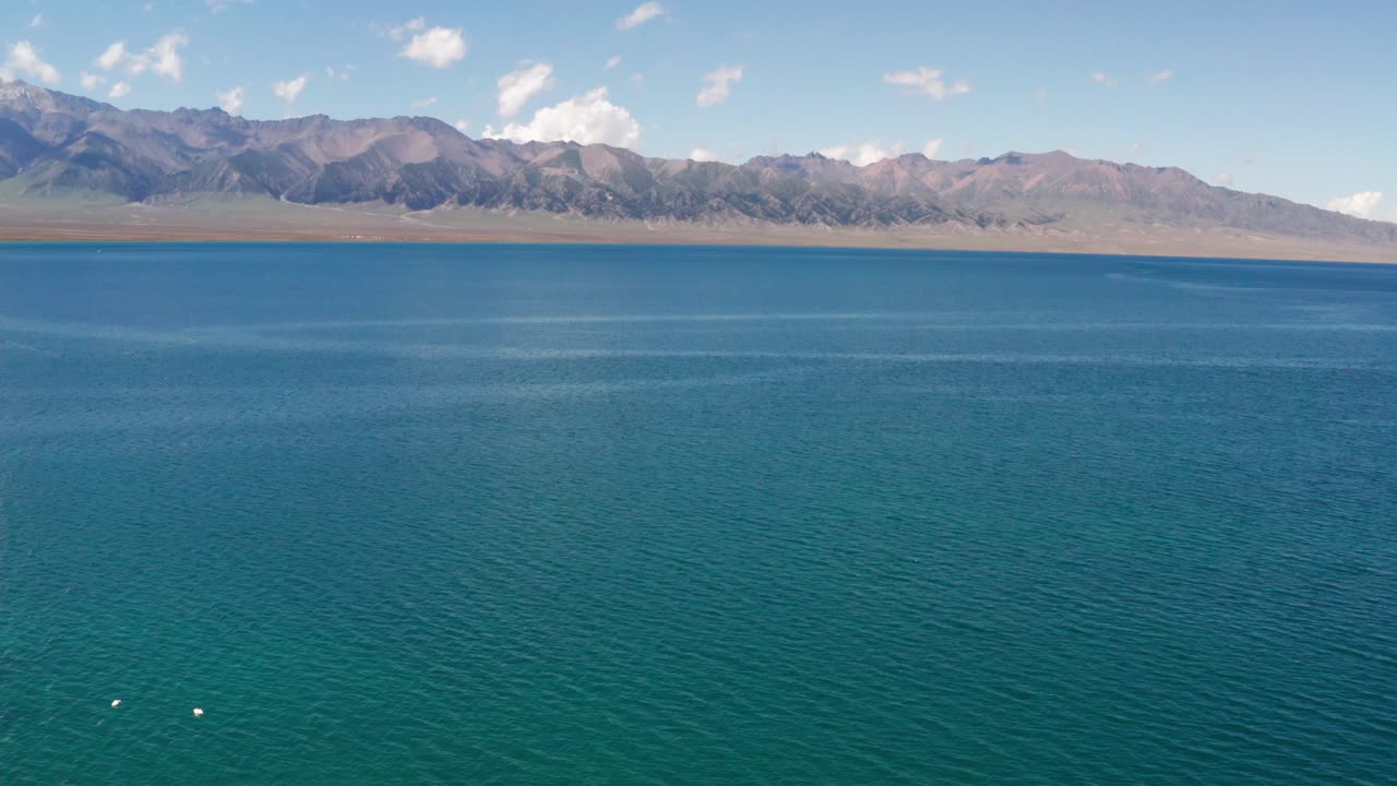 백조들은 조용한 호수에서 헤엄치고 있었습니다.