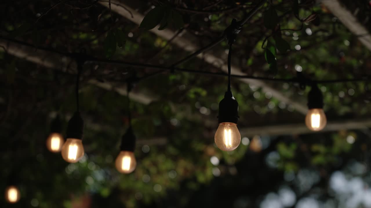 warm string lights glowing in lush greenery at dusk