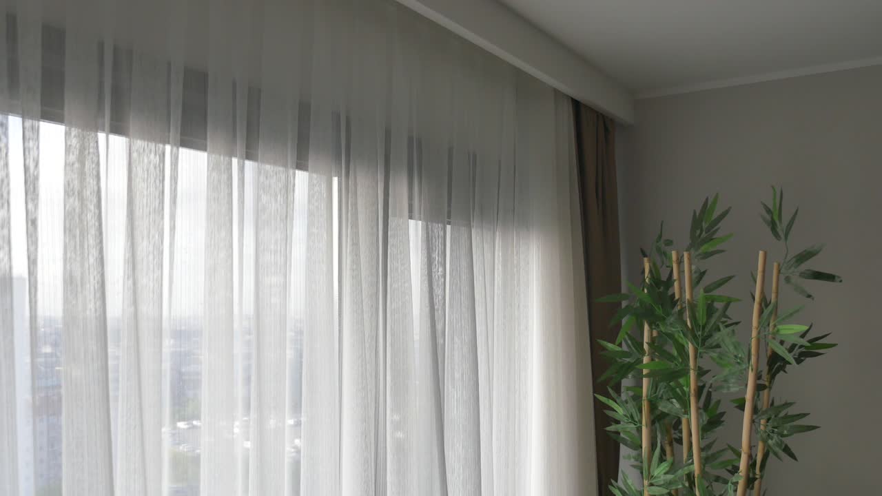 색 커튼과 대나무 식물로 된 현대적인 인테리어