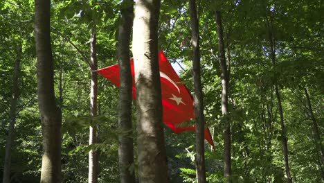 La-Bandera-Turca-Ondea-En-El-Bosque.