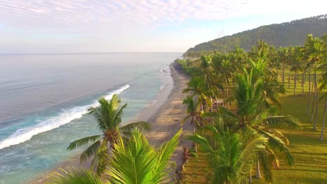 voando sobre a praia vazia