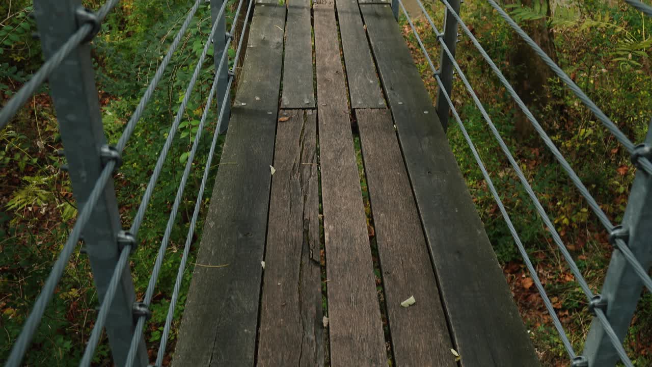 가을철 숲 속 강 위에 놓인 현수교