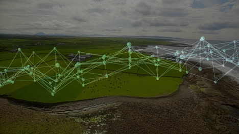 digital network overlay expanding across coastal farmland dotted with grazing cattle in flat design