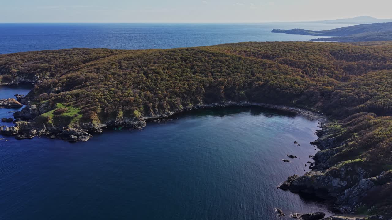 Aerial view of a serene coastal landscape with lush vegetation
