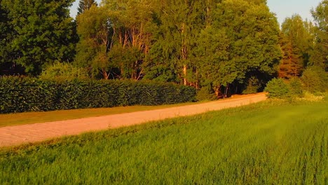 wonderful golden hour aerial drone view of sustainable agricultural field
