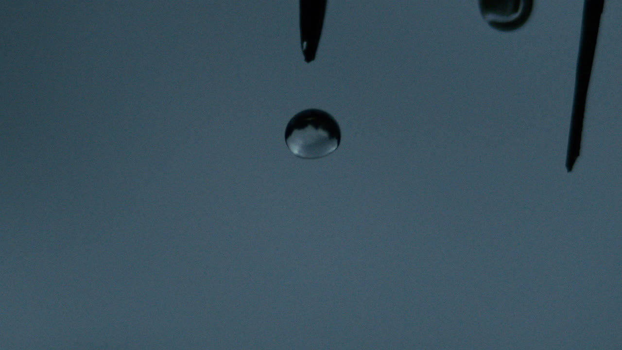Slow motion of storm water dripping steadily from sharp silhouetted palm leaves
