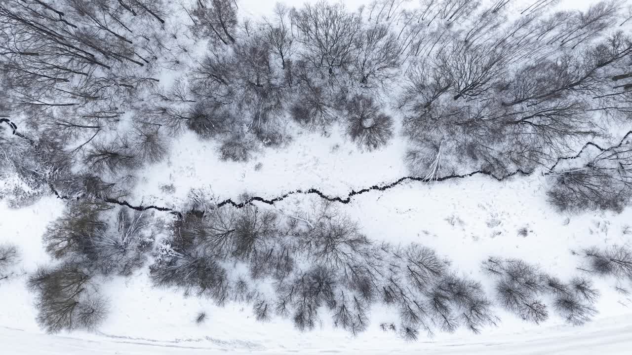 Filmato aereo che cattura un sereno paesaggio invernale con alberi innevati e un tortuoso ruscello ghiacciato. Lo scenario nitido e bianco crea una vista tranquilla e pittoresca dall'alto.