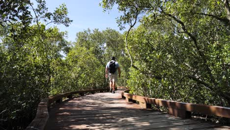 Man-taking-photos-with-his-phone-camera-walking-along-a-timber-boardwalk-winding-through-a-conservation-wetlands-