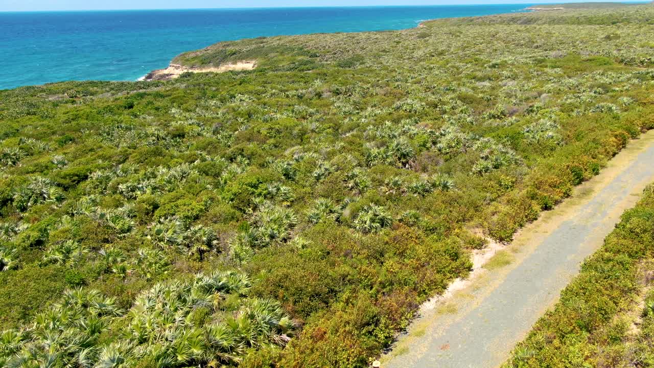Aerial above a person wearing a sun hat walking on a coastal path with vegetation, tilt up