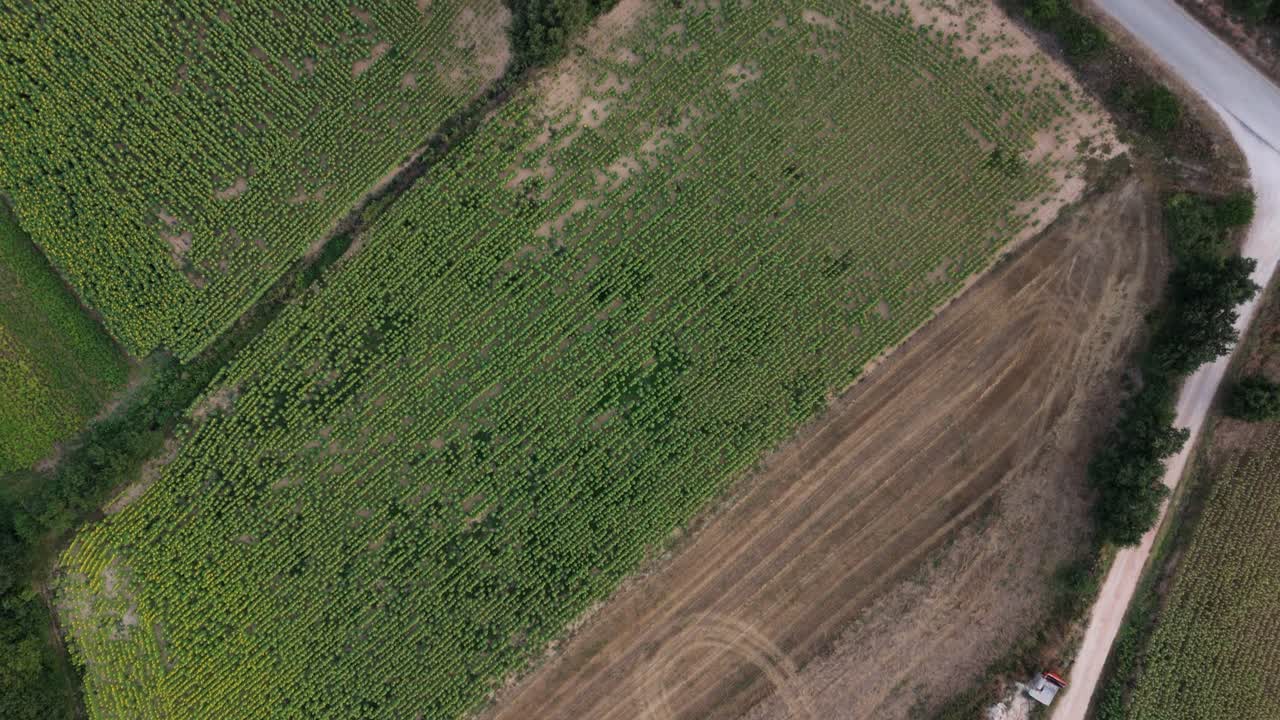 Overhead drone shot of a cultivated agricultural area in the outskirts of Valderama in the province of Burgos in Spain.
