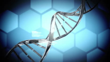 animation of digital data processing over dna strand spinning