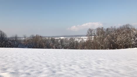 Caminata-Matutina-En-Bosques-Cubiertos-De-Nieve