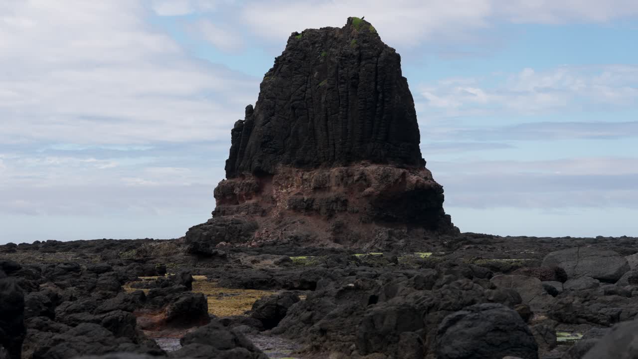 A wide shot of a majestic standing rock with a bird perched on top, showcasing nature's beauty and wildlife in a serene landscape.
