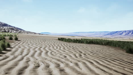 Flat-desert-with-bush-and-grass