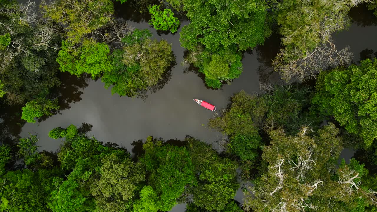 Ripresa aerea discendente con drone della lussureggiante foresta pluviale amazzonica con una barca solitaria sul fiume vicino a Manaus, Brasile