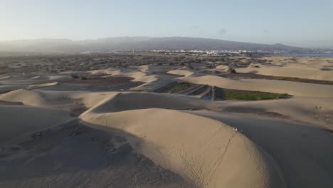 瑪斯帕洛馬斯 (maspalomas) 金色沙丘 (golden sand dunes) 位於加納里亞大島上