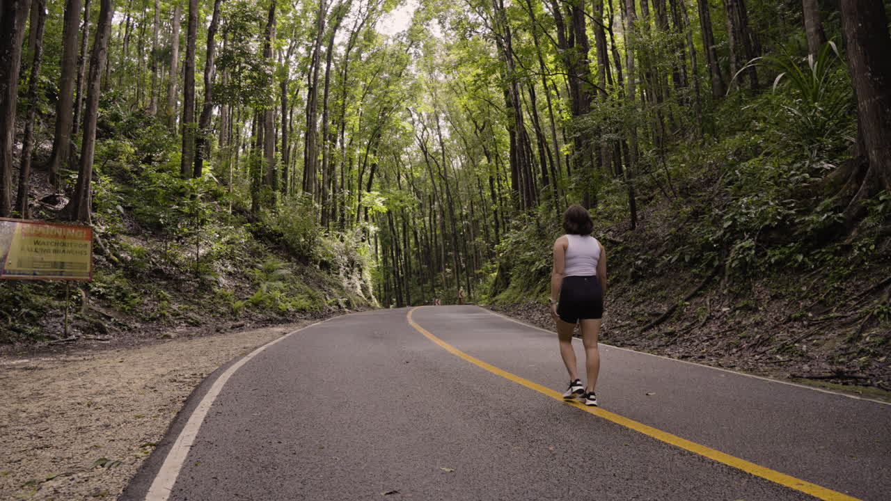 숲 속의 길에서 노란색 선을 따라 걸어가는 젊은 여성의 느린 움직임  ⁇