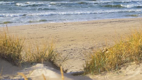 idyllic view of empty baltic sea coastline, dead grass in foreground, seashore dunes damaged by waves, white sand beach, coastal erosion, climate changes, medium shot