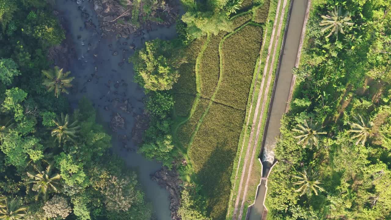 Aerial view of water flow on rocky river framed by dense green vegetation and plantation. Natural river with irrigation path in tropical rural Indonesia.