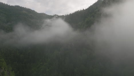 thin misty clouds over forest mountains at borjomi nature reserve in georgia