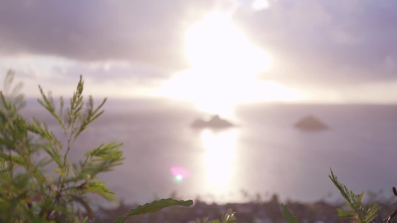 아름다운 하와이 해변은 맨 위에 필박스 몇 개가 있는 하이킹을 내려다보고 있습니다.