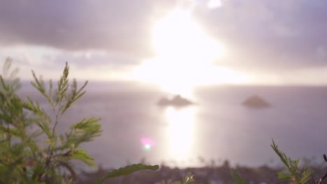 beautiful hawaii beach overlook hike with a couple of pillboxes at the very top