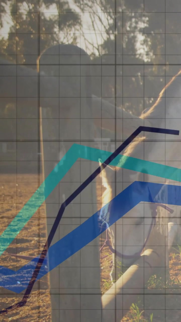 Vertical video: Animated equine data sweeping and overlaying woman leaning at horse tracking vitals