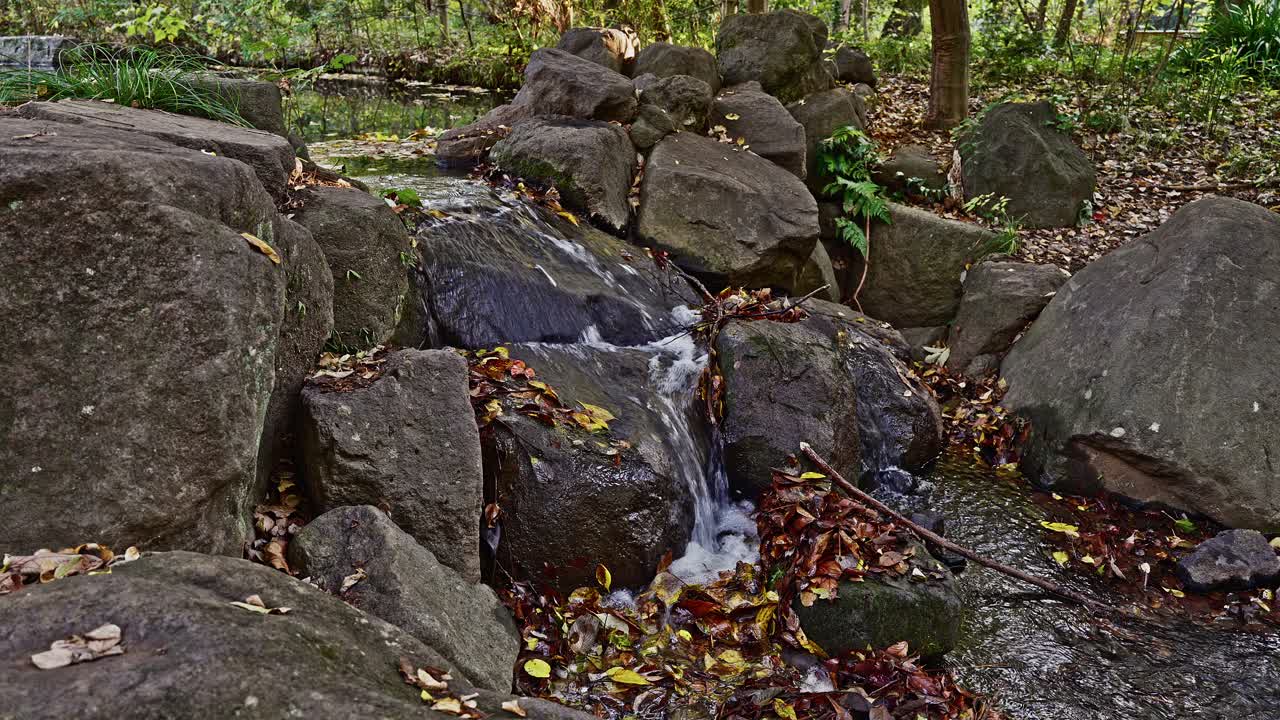 Water flows over a deliberate arrangement of large rocks, creating a small cascade in a forested, natural setting