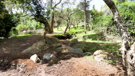 Outdoor-village-sky-beautiful-village-landscape-of-aerial-land-scape-forest--Aerial-photography-of-rural-forest-kenya--Wireless-drone-quadcopter-controller